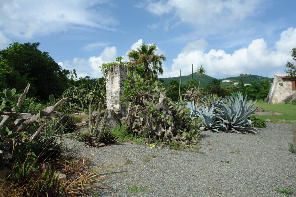   -   - (St. Croix).